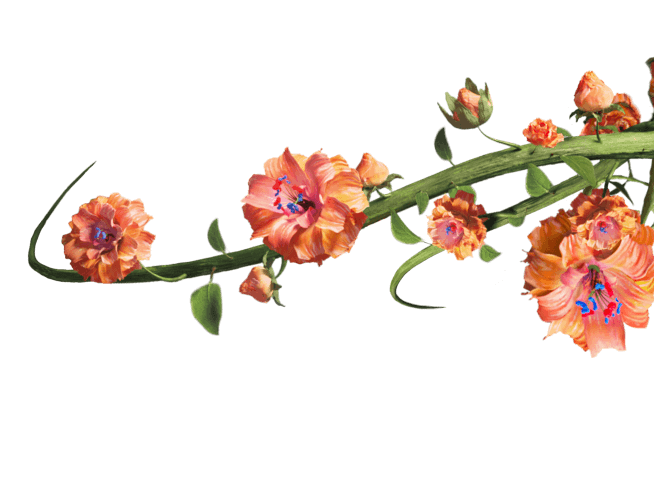 Flowers on a vine